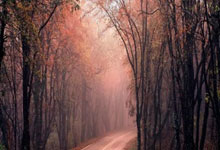 柏林赫塔在主场比赛中输给了对手