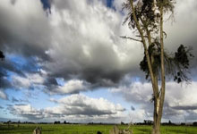 柏林赫塔在主场比赛中输给了对手