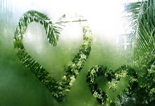 激情篮球比赛纷纷引爆球迷热情