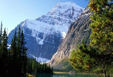 柏林赫塔在主场比赛中输给了对手