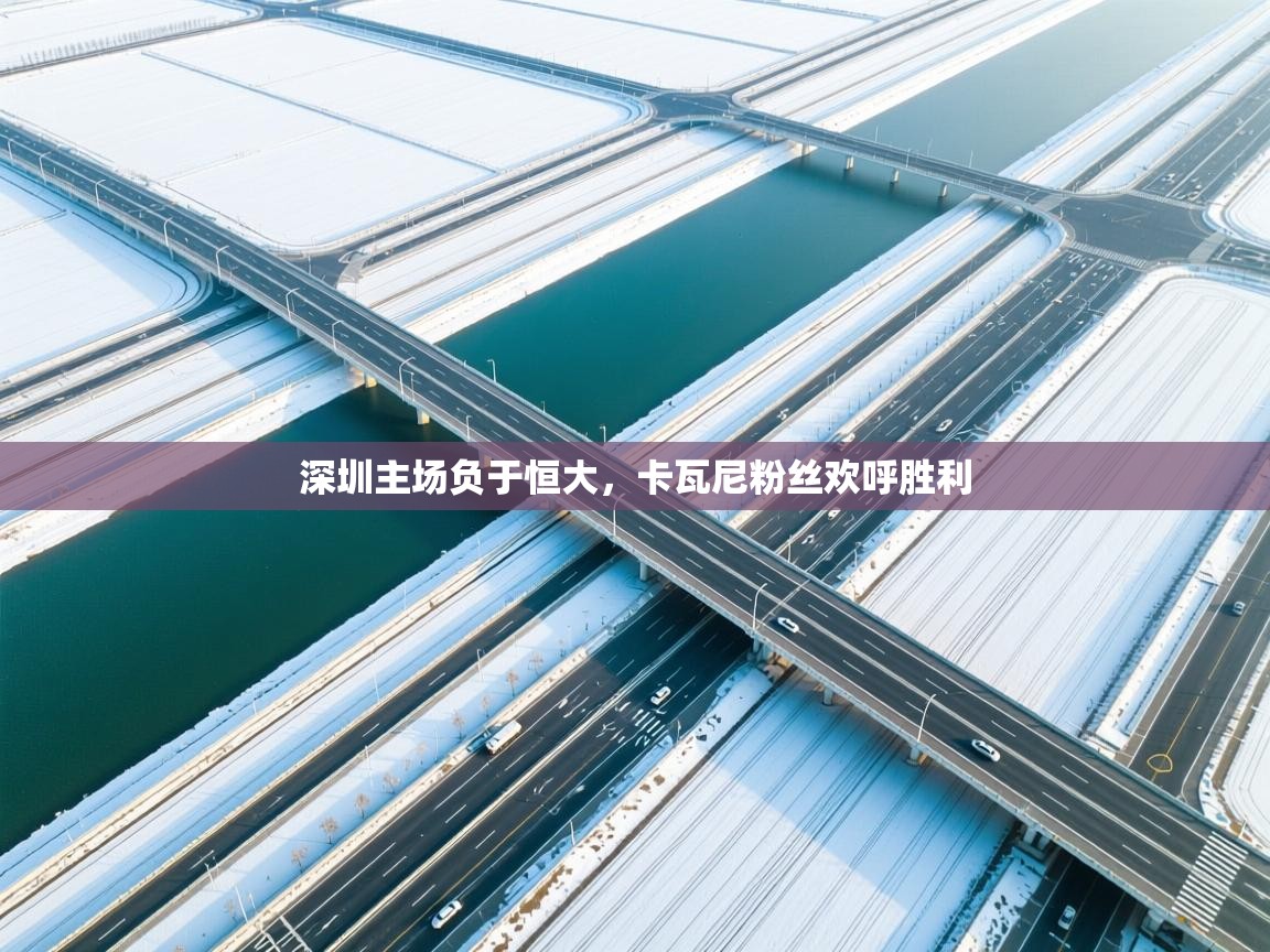 深圳主场负于恒大,卡瓦尼粉丝欢呼胜利 第1张