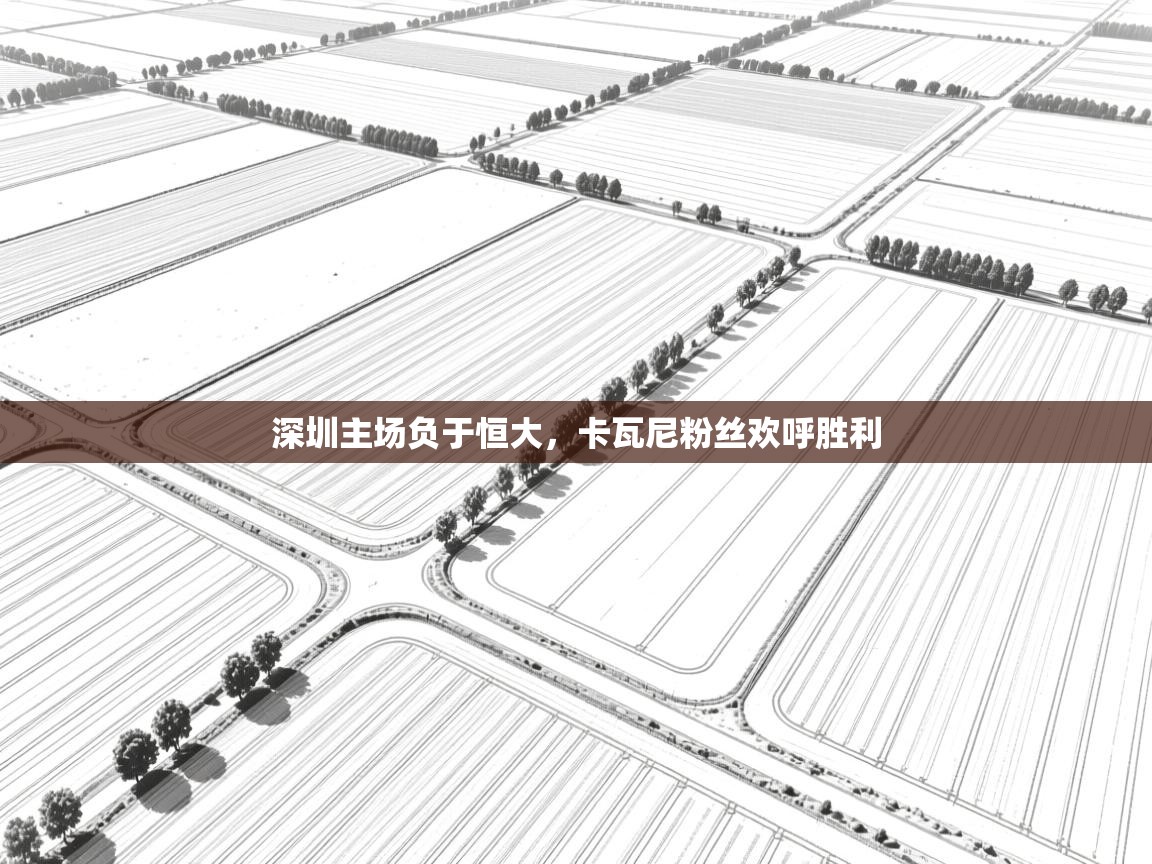 深圳主场负于恒大,卡瓦尼粉丝欢呼胜利 第2张