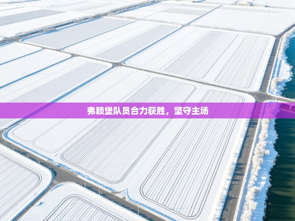 弗赖堡队员合力获胜，坚守主场  第2张