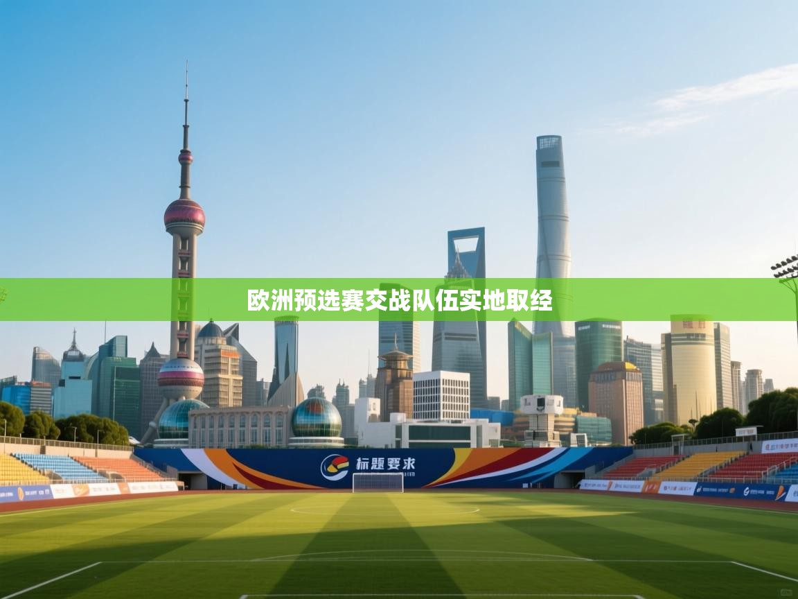欧洲预选赛交战队伍实地取经  第2张
