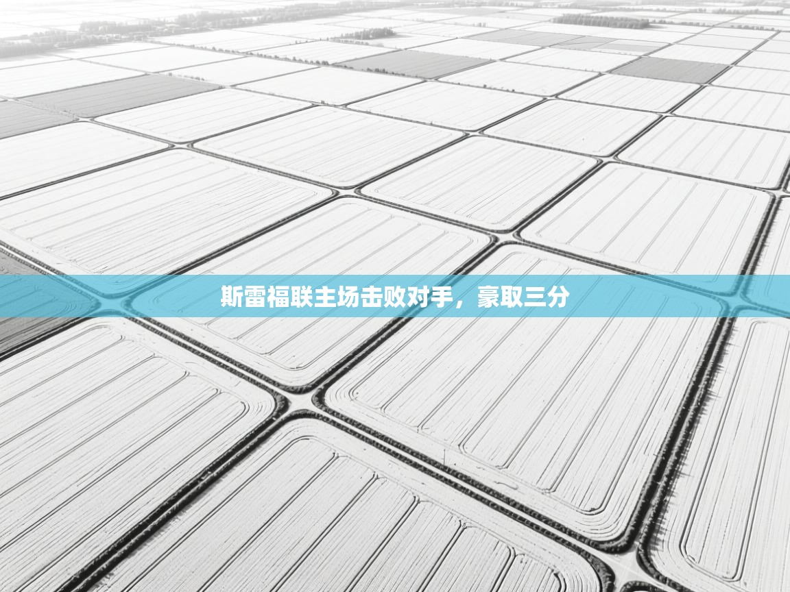 斯雷福联主场击败对手,豪取三分 第2张