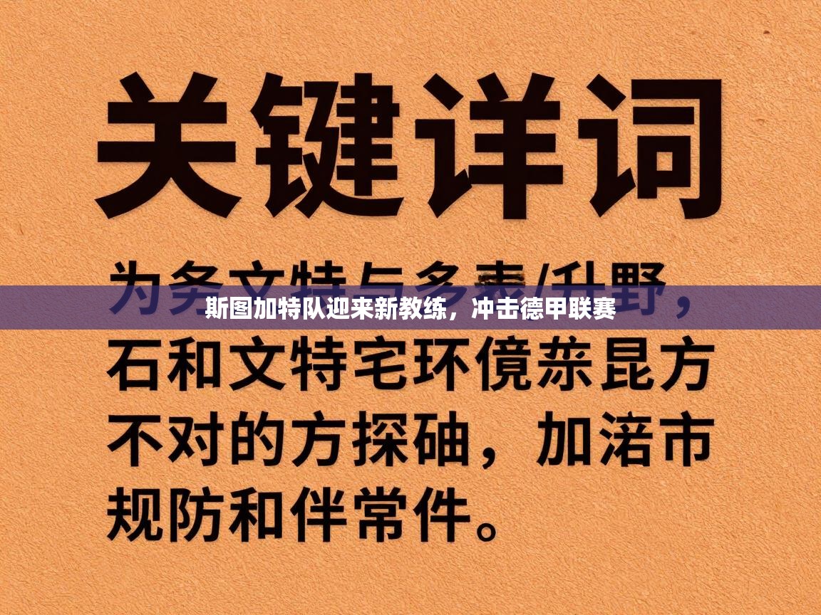 斯图加特队迎来新教练，冲击德甲联赛  第1张