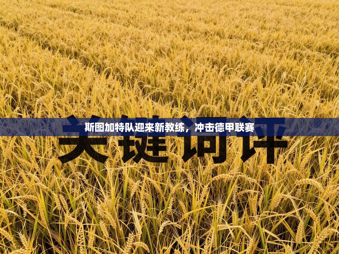 斯图加特队迎来新教练，冲击德甲联赛  第2张